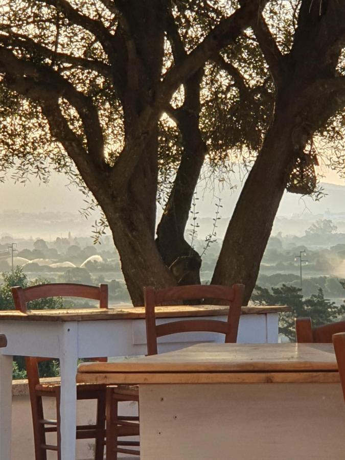 Bed and Breakfast Nacchinono Olbia Esterno foto