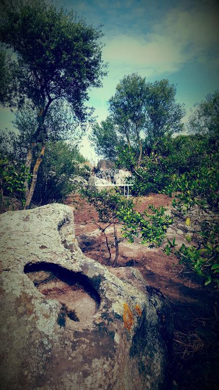 Bed and Breakfast Nacchinono Olbia Esterno foto