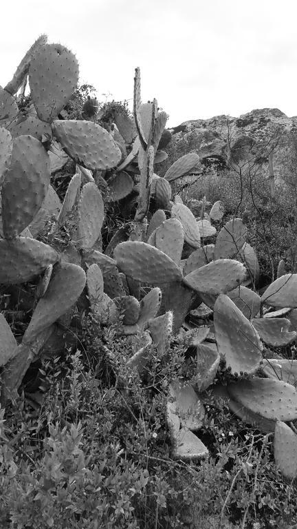 Bed and Breakfast Nacchinono Olbia Esterno foto