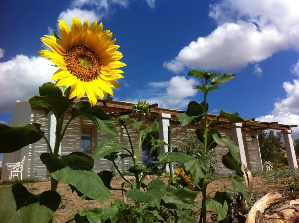 Bed and Breakfast Nacchinono Olbia Esterno foto